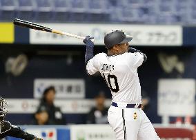 Baseball: Orix outfielder Adam Jones