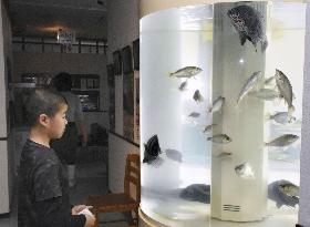 Smallest aquarium in Japan