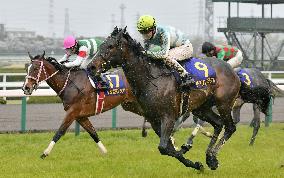 Daring Tact captures 1st G1 victory at Oka-sho