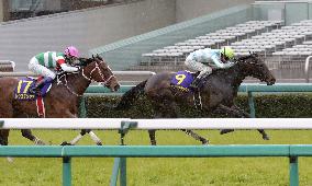 Daring Tact captures 1st G1 victory at Oka-sho