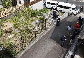 Japanese serow caught in residential area