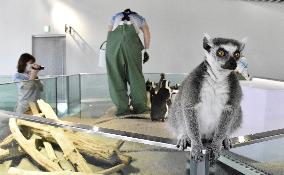 Japan zoo shares videos online during closure over coronavirus