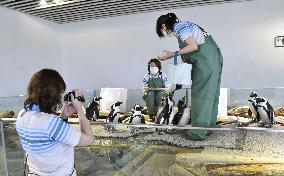 Osaka zoo shares videos online during closure over coronavirus