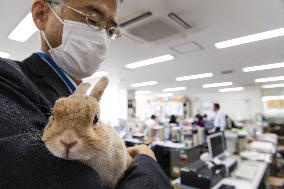 Animals' lives during coronavirus