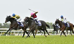 Horse racing: Fierement defends spring Tenno-sho crown