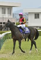Horse racing: Fierement defends spring Tenno-sho crown