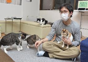 Rescued cat cafe in Japan