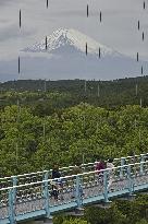 Mt. Fuji from suspension bridge