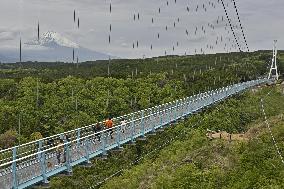 Mt. Fuji from suspension bridge