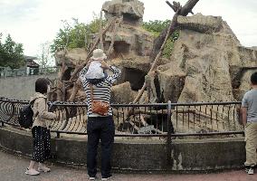 People return to zoo after state of emergency lifted