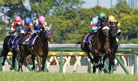 Horse racing: Almond Eye wins Victoria Mile