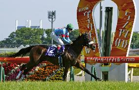 Horse racing: Almond Eye wins Victoria Mile