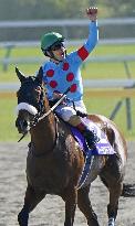 Horse racing: Almond Eye wins Victoria Mile