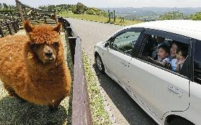 Drive-thru tour at animal park in Japan