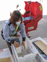 Japan's face mask handout program