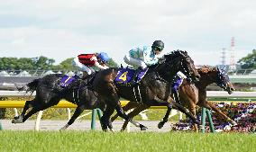 Daring Tact wins Japanese Oaks