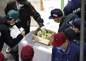 First auction of Yubari melons
