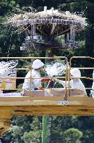 Baby Oriental white storks in central Japan