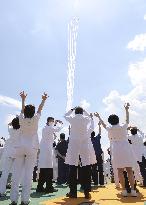 Blue Impulse flyover to thank medical workers