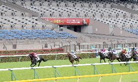 Horse racing: Undefeated Contrail jets to Japanese Derby victory