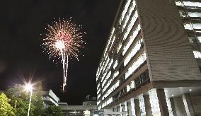 Fireworks light up Japan