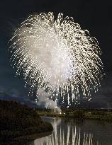 Fireworks light up Japan