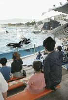 Reopening of aquarium in Chiba