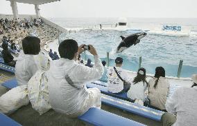 Reopening of aquarium in Chiba