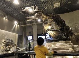 Reopening of Tokyo museum