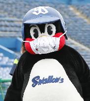 Baseball: Yakult Swallows' mascot Tsubakuro