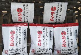 Wakayama pickled plums for COVID-19-battling medical staff