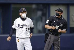 Baseball: Preparation for season start in Japan