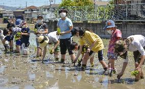 Rice planting in Osaka