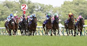 Horse racing: Gran Alegria wins Yasuda Kinen