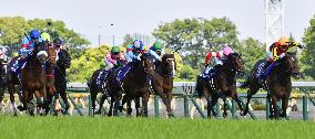 Horse racing: Gran Alegria wins Yasuda Kinen