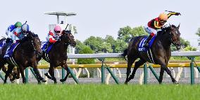 Horse racing: Gran Alegria wins Yasuda Kinen