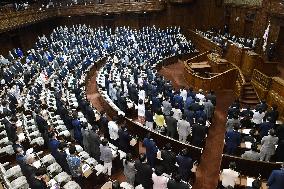 Lower house passage of 2nd extra budget for FY2020