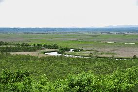 Kushiro marsh in Hokkaido