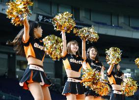 Cheer leaders ready for virus-hit 2020 pro baseball season