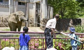 Elephant in Morioka, Japan