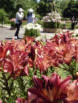 Tottori flower park in western Japan