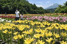Tottori flower park in western Japan