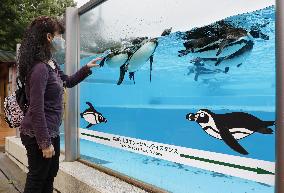 Reopening of Saitama Children's Zoo