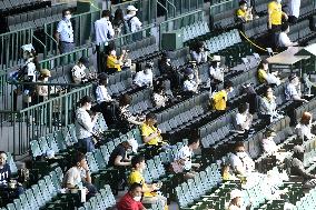 Koshien baseball stadium allows in spectators