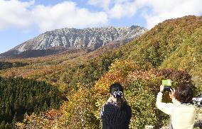 Colored leaves in Tottori national park