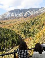 Colored leaves in Tottori national park