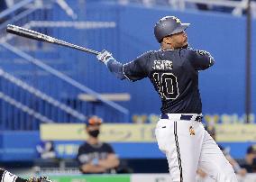 Baseball in Japan