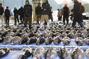 Year's 1st tuna auction in western Japan