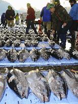 Year's 1st tuna auction in western Japan