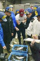 Year's 1st pufferfish auction in western Japan